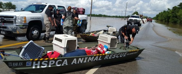 Animal_Rescue_750x300px